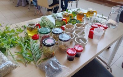 Śląski Ogród Botaniczny – warsztaty w bibliotece