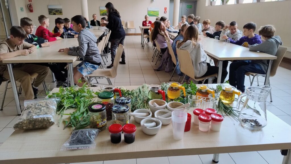 IMG 20250610 091957883 AE 1