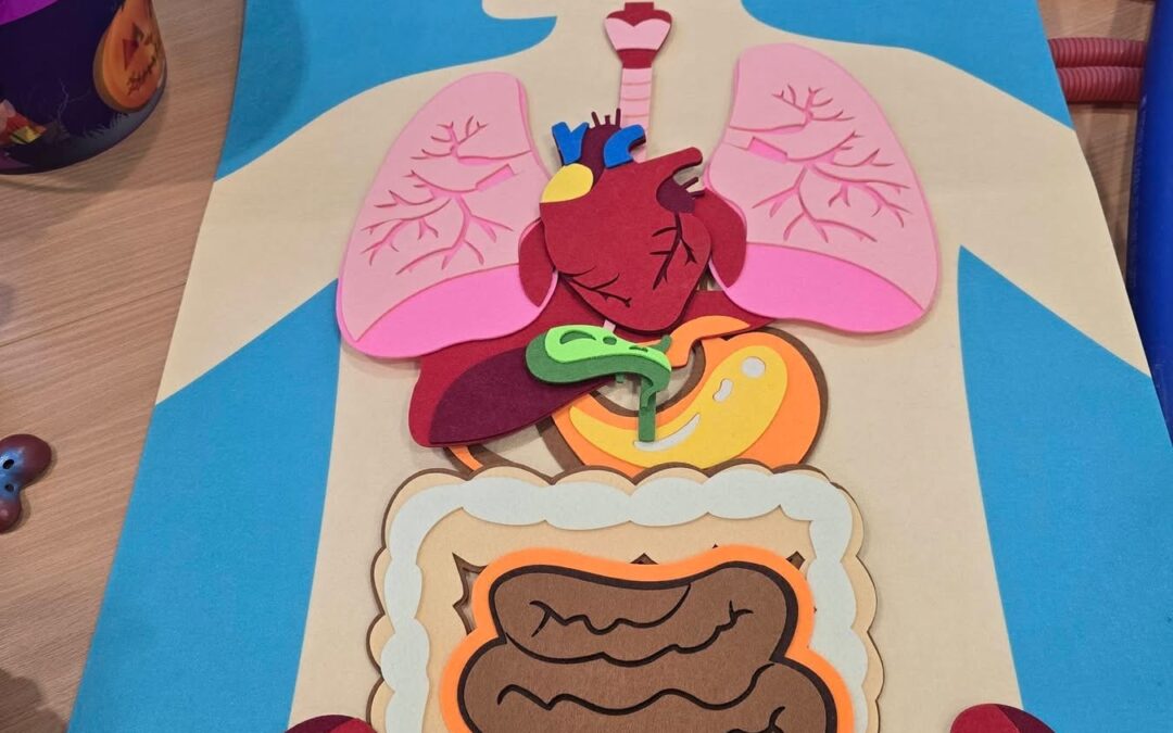 Mały Medyk – nowy cykl spotkań dla dzieci w bibliotece.