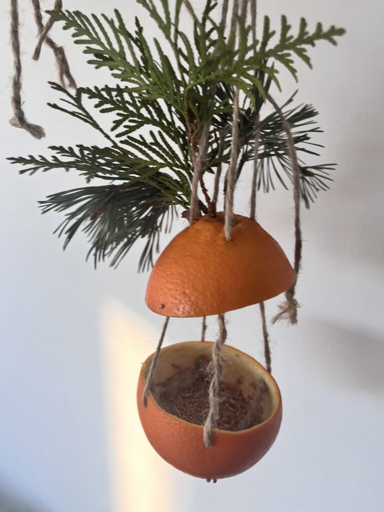 IMG 5855 1774262033693